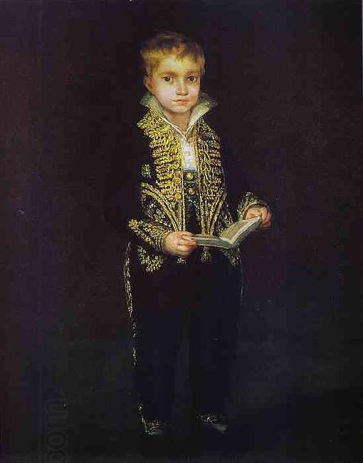 Francisco Jose de Goya Portrait of Victor Guye China oil painting art